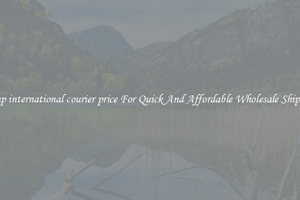 cheap international courier price For Quick And Affordable Wholesale Shipping