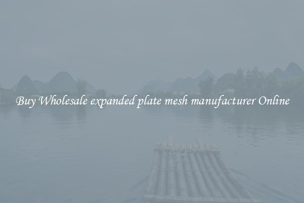 Buy Wholesale expanded plate mesh manufacturer Online