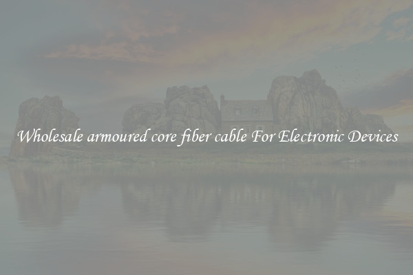 Wholesale armoured core fiber cable For Electronic Devices