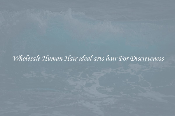 Wholesale Human Hair ideal arts hair For Discreteness