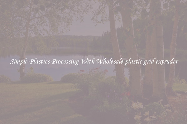 Simple Plastics Processing With Wholesale plastic grid extruder