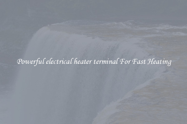 Powerful electrical heater terminal For Fast Heating