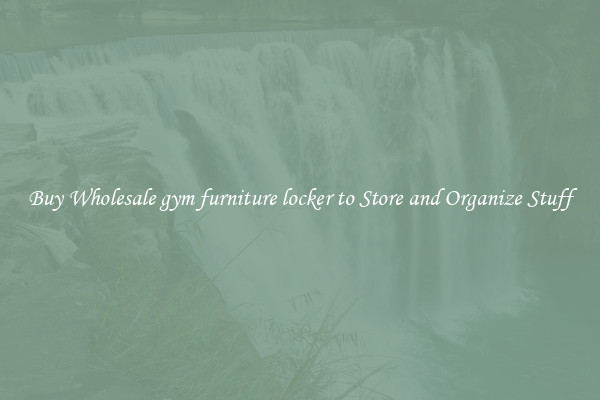 Buy Wholesale gym furniture locker to Store and Organize Stuff
