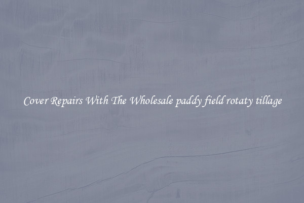  Cover Repairs With The Wholesale paddy field rotaty tillage 