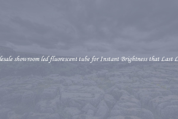 Wholesale showroom led fluorescent tube for Instant Brightness that Last Longer