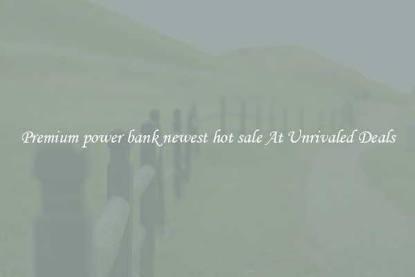 Premium power bank newest hot sale At Unrivaled Deals