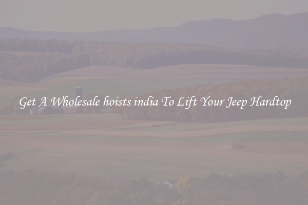 Get A Wholesale hoists india To Lift Your Jeep Hardtop