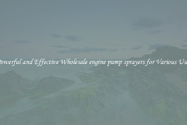 Powerful and Effective Wholesale engine pump sprayers for Various Uses