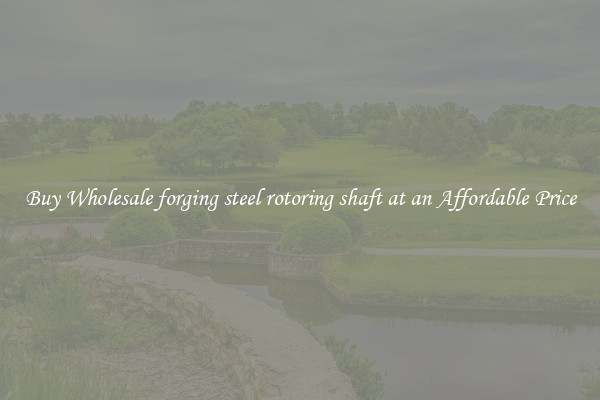 Buy Wholesale forging steel rotoring shaft at an Affordable Price