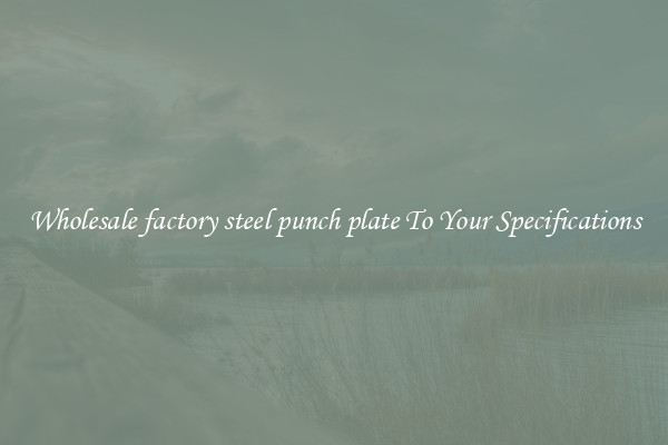 Wholesale factory steel punch plate To Your Specifications