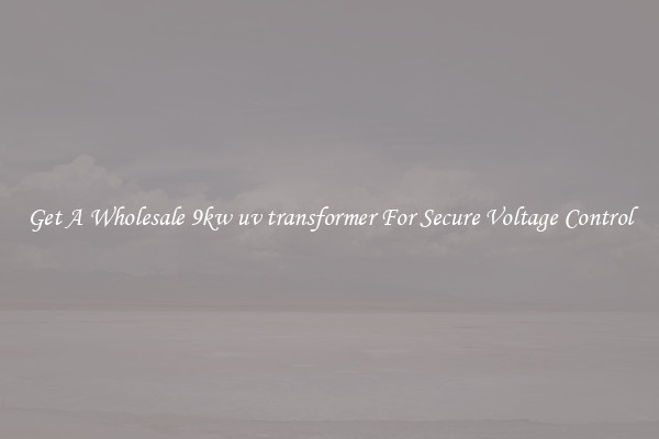 Get A Wholesale 9kw uv transformer For Secure Voltage Control