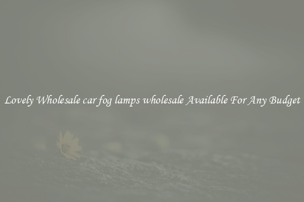 Lovely Wholesale car fog lamps wholesale Available For Any Budget